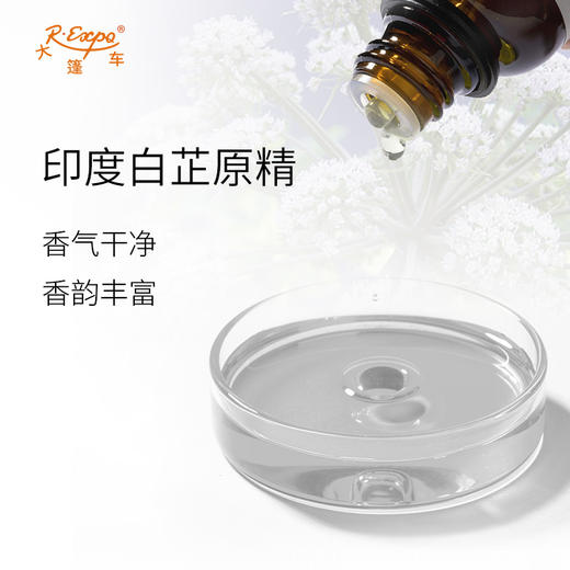 印度白芷原精 Angelica 进口印度白芷精油原料批发芳疗香氛香薰精油 商品图1
