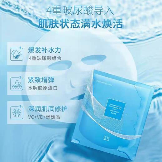 透真玻尿酸多效保湿蚕丝面膜10片 商品图1