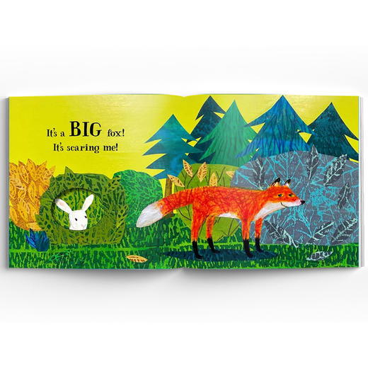 Petr Horacek 小动物洞洞书 商品图2