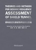 Theories and Methods for Seismic Resilience Assessment of Shield Tunnel(盾构隧道抗震韧性评估理论方法) 商品缩略图2