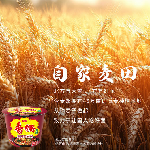 【店铺专享】今麦郎方便面 麻辣香锅 香菜味牛肉味多口味可选 商品图4