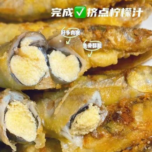 挪威深海多春鱼 | 一口爆籽，煎炸烤都好吃，高蛋白高钙很营养【下单72小时发货】 商品图1