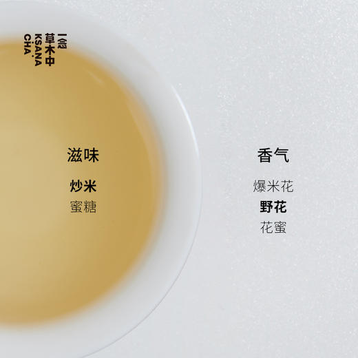 少年游·浓香铁观音 | 进阶原叶系列 | 50g原叶 | 乌龙茶类 商品图2