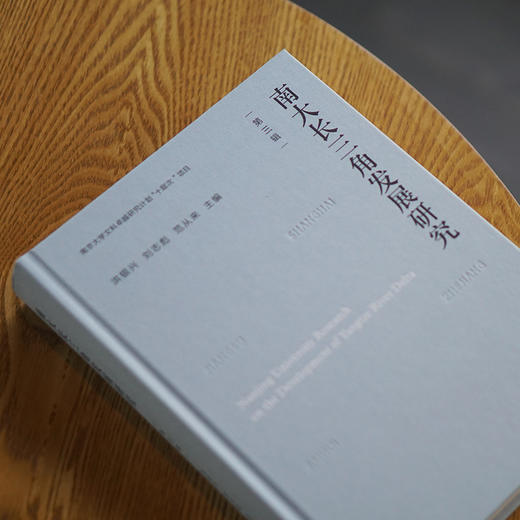 南大长三角发展研究（第三辑）  洪银兴 刘志彪 范从来 主编 商品图2