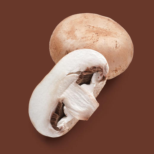 MM 山姆 牛排菇 330g 商品图4