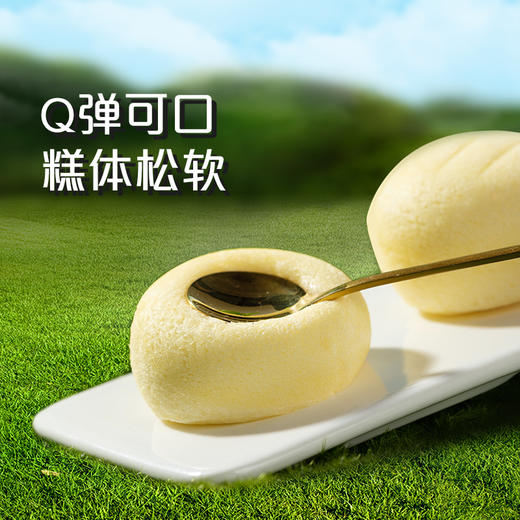 港荣蒸蛋糕【新品木糖醇】420g/700g 健康路上的好搭档  领券下单立减 无添加蔗糖 商品图3