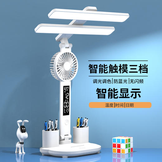 led台灯充插两用学习够亮宿舍台灯阅读书桌台灯学生专用护眼台灯 商品图0