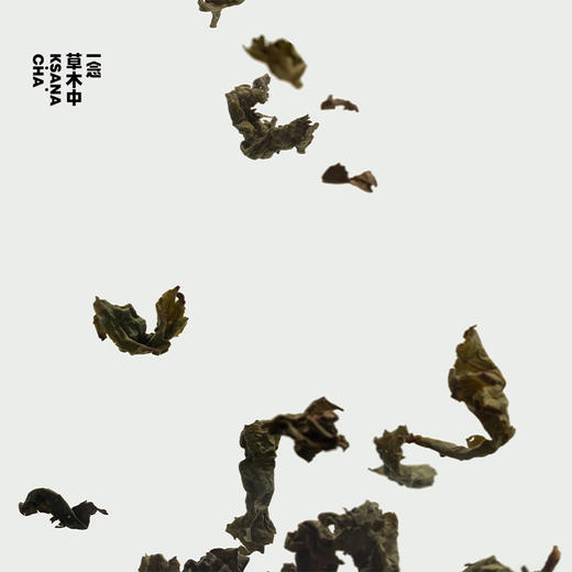 少年游·浓香铁观音 | 进阶原叶系列 | 50g原叶 | 乌龙茶类 商品图1