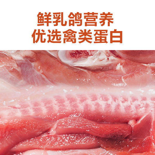 MM 山姆 蓝氏 猎鸟乳鸽均衡营养全价猫粮 5kg 商品图6