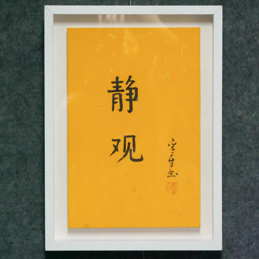 陈金章《静观》书法原作33CM*22CM 手写宣纸作品[含框] 商品图4