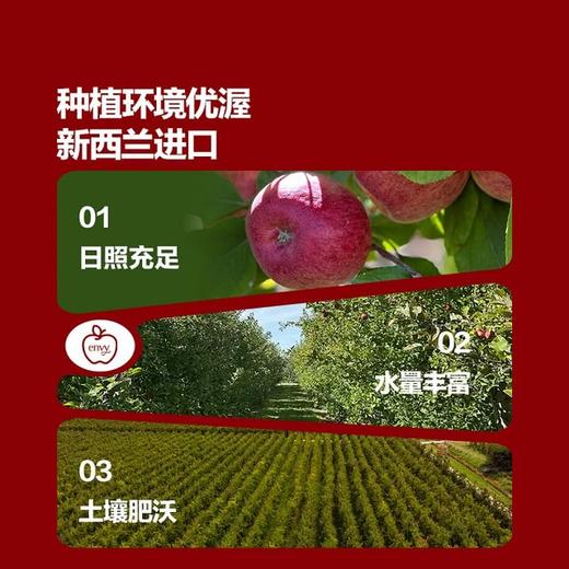 MM 山姆 进口 爱妃苹果 1.6kg 商品图2
