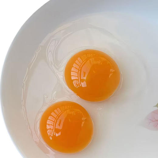 【厂商直发】有机山鸡蛋30枚无抗无农残散养新鲜土鸡蛋有机认证 商品图9