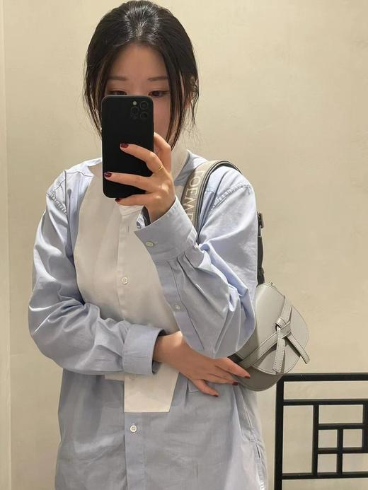 罗家字母肩带马鞍包，MiniGateDual手袋！（LZ） 商品图5