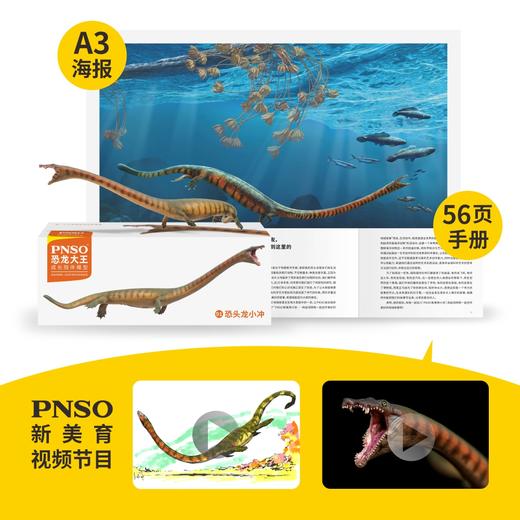 PNSO恐头龙小冲恐龙大王成长陪伴模型91 商品图1