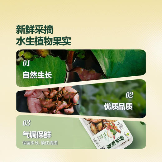 MM 山姆 鲜采菱角 950g 商品图2