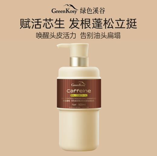 （买多省多 两件任选到手仅99元）绿色溪谷赋活控油蓬松洗发乳500ml单瓶或组合装任选-4900 商品图2