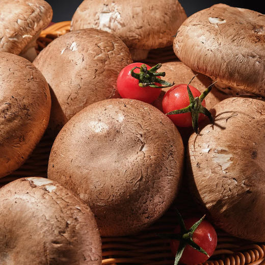 MM 山姆 牛排菇 330g 商品图8