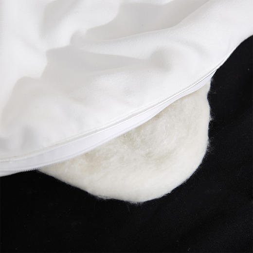 天琴 云锦蚕丝被 TQ-B097 商品图3