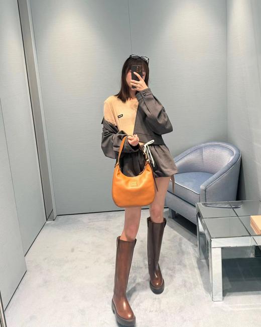 缪缪 新款腋下包 这款大包采用了时尚的蜻蜓线条设计（LZ） 商品图6