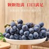 MM 山姆 提博士黑提 907g 商品缩略图2
