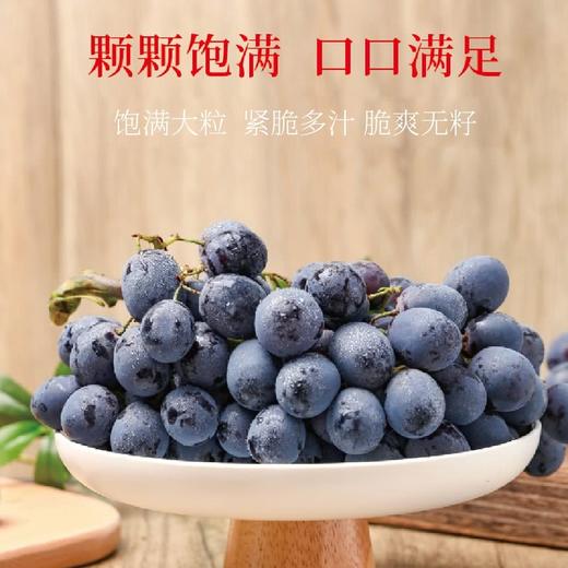 MM 山姆 提博士黑提 907g 商品图2