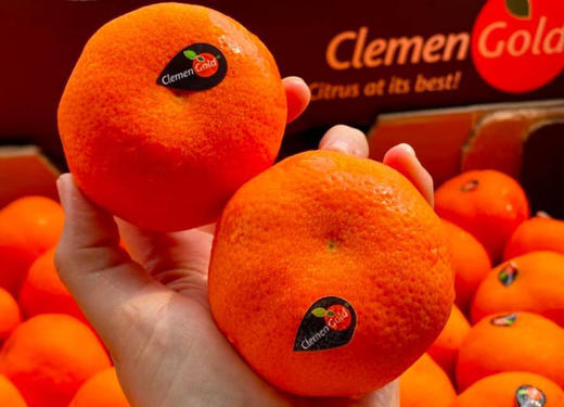 【京津冀包邮】南非ClemenGold克莱蒙蜜橘🍊，夏天里甜蜜的味道，个头均匀， 果肉非常饱满，一口爆汁的南非“小金矿”，皮薄无核、冰镇爽口的ClemenGold蜜橘，承包你三伏天的快乐！4斤/箱 商品图2