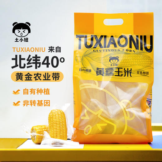 【8穗再加送2穗】到手10穗 内蒙古土小妞黄糯玉米 香甜软糯鲜嫩玉米棒 真空包装家庭装1400g/袋 商品图0