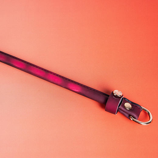 纵锦浪里魅灵马鞭SM调情SP束缚男女成人情趣性用品另类玩具 商品图3