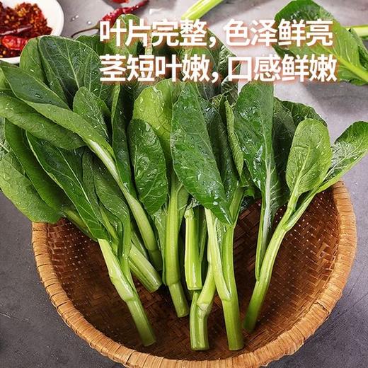 MM 山姆 菜心苗600g 商品图3