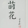 陈金章《莳花》书法原作33CM*22CM 手写宣纸作品[含框] 商品缩略图2