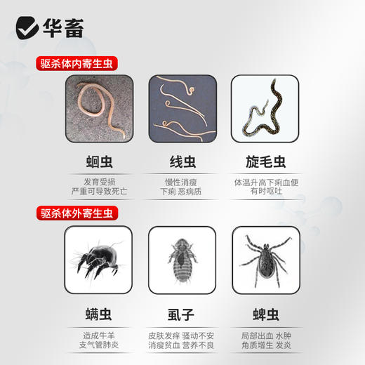 华畜0.5%阿维菌素透皮溶液250ml 体内外驱虫 透皮吸收 商品图2