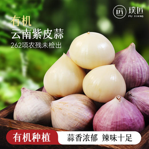 有机蒜头紫皮大蒜新鲜现挖大蒜头独蒜多瓣蒜家用湿蒜非干蒜子大果 商品图0