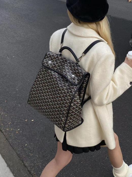 戈雅-狗牙 狗牙大背包  装下全世界（XS） 商品图9