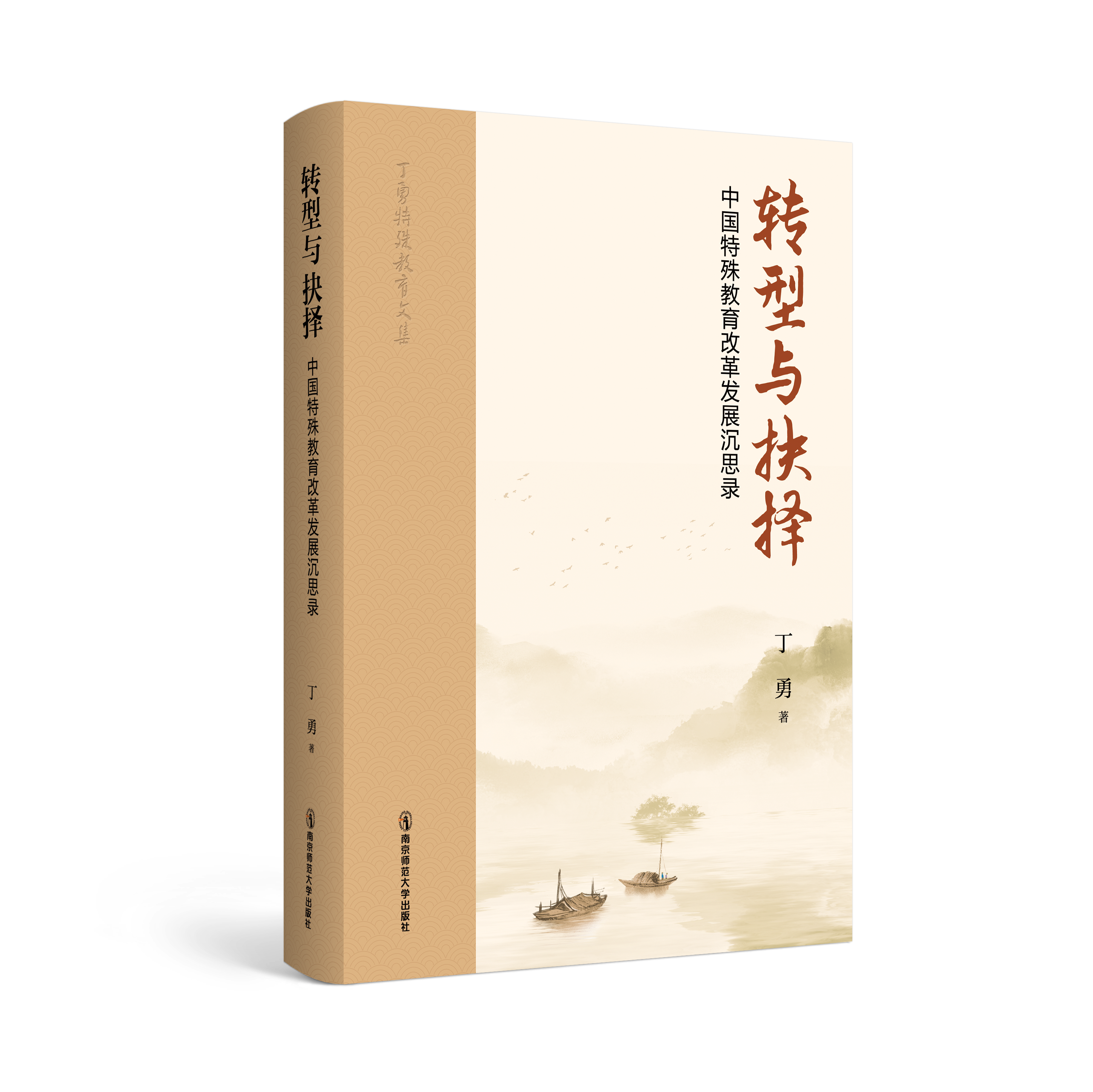 转型与抉择——中国特殊教育改革发展沉思录   丁勇   南京师范大学出版社   正版书籍