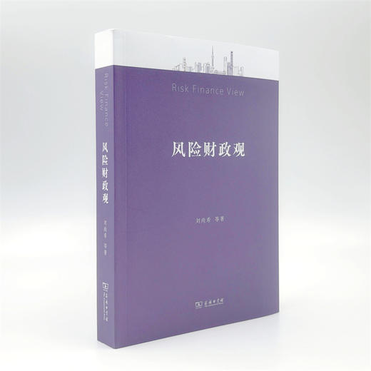 风险财政观 商品图3