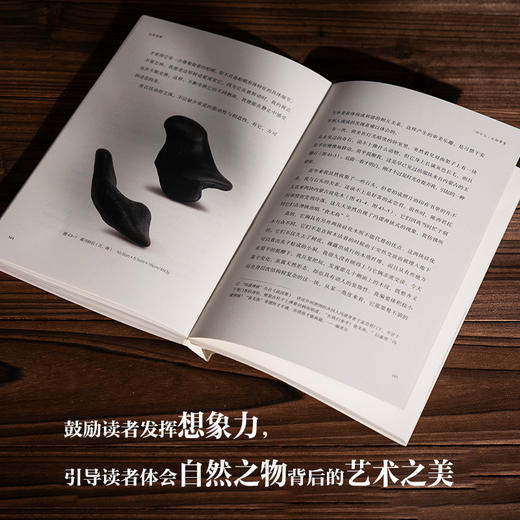 石道因缘王朝闻美学中国艺术审美赏石奇石爱好者收藏家赏石随笔收录奇石图片百余张提供发挥想象力的自由空间自然之物背后的艺术之美 商品图2