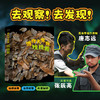 博物大发现 找找看(全3册) 商品缩略图0