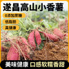 高山小香薯 2500克/箱 商品缩略图1