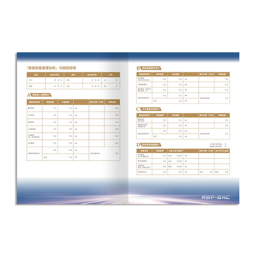 财务安全规划表 bky 商品图2