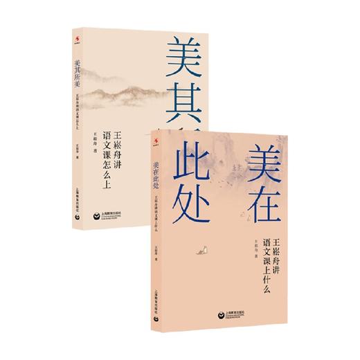 美在此处+美其所美 王崧舟 著 中小学教辅 商品图0