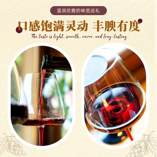 【法国原瓶进口】贵伦堡精选干红葡萄酒14度750ml*6礼盒装 商品图4