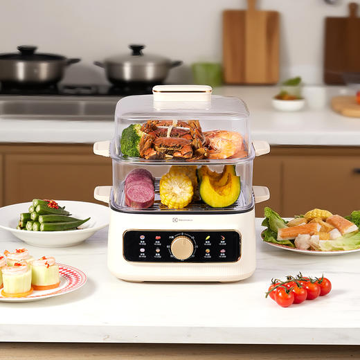 EGFS9010 多功能电蒸锅 商品图5