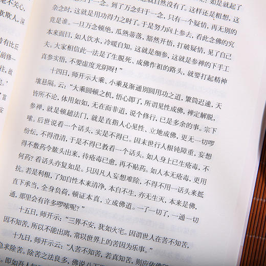 平常心是道 虚云大师 以禅心解生活 用平常语说佛法 中国哲学书籍 商品图2