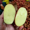 云南高原红皮黄心土豆口感粉糯 商品缩略图1