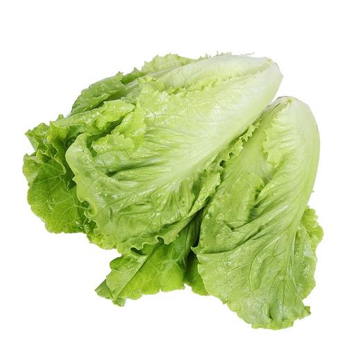 MM 山姆 Member's Mark 有机生菜 600g 商品图0