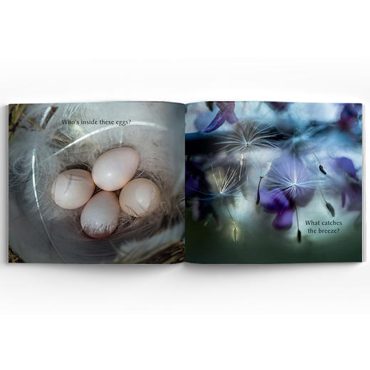 Step Gently, Look Closely 万物低语 商品图2