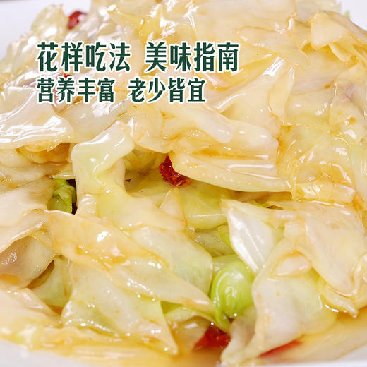 MM 山姆 有机水果甘蓝（大颗）750g 商品图4