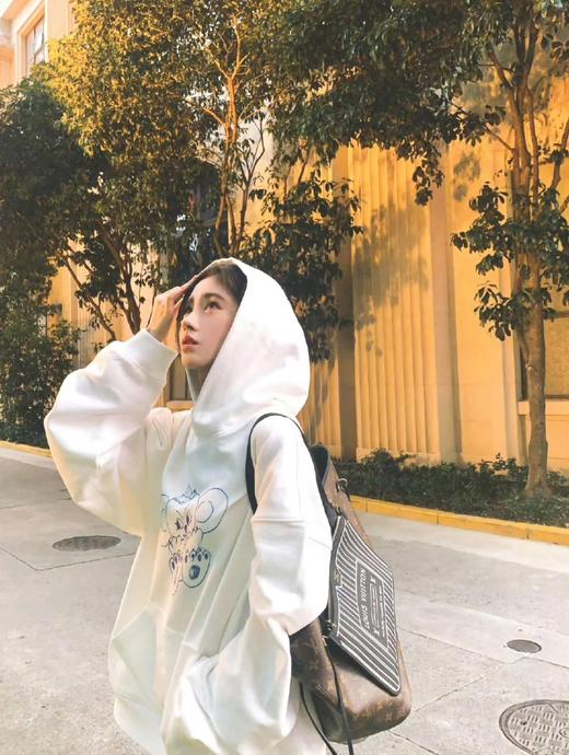 BT220-驴家字母徽标敞口开合双面两用 Monogram 涂层帆布 双面Neverfull 单肩手提包（BT*MM）7.22直播款 商品图2