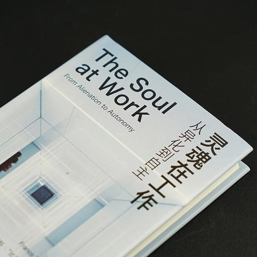 灵魂在工作 弗朗科·“比弗”·贝拉尔迪 著 社会科学 商品图2