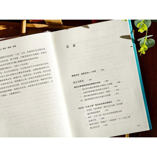 中国古代史三论 政治 地域 族群 李治安史学著作集 李治安 著 社会科学 商品图3